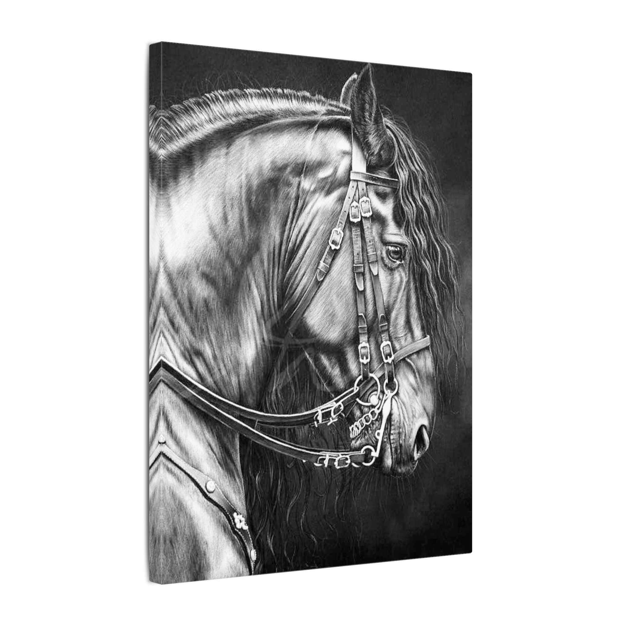 Black and White Horse Portrait Canvas - Matte Stretched Wall Decor - TheKaraHan