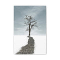Solitary Tree Path Canvas Print — Minimalist Winter Landscape Wall Art 