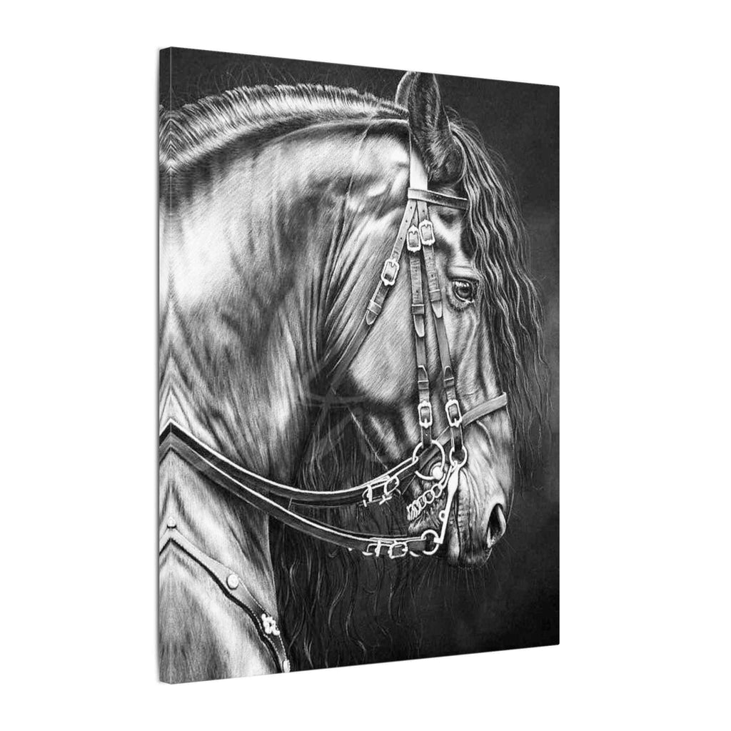 Black and White Horse Portrait Canvas - Matte Stretched Wall Decor - TheKaraHan